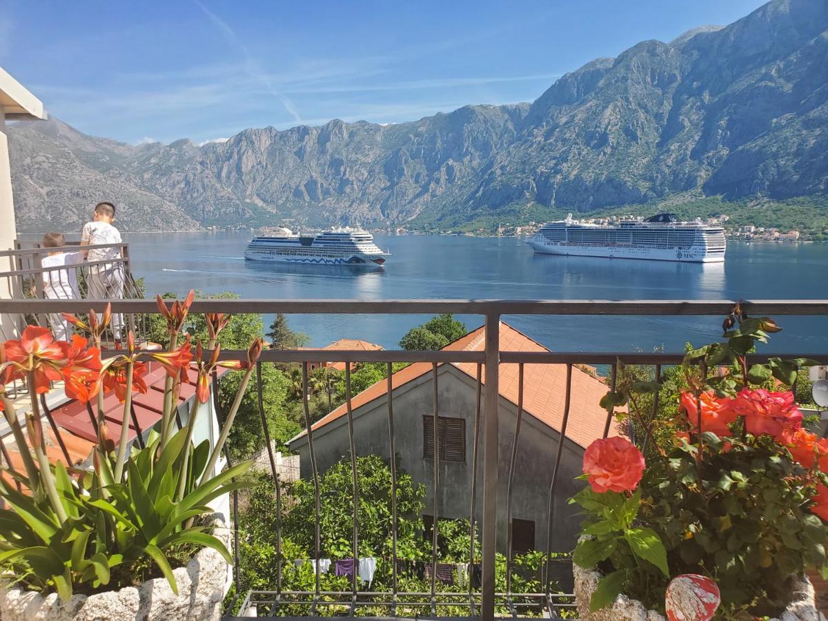 Vasko & Jana Apartment Kotor Bagian luar foto