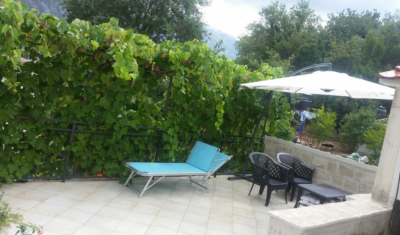 Vasko & Jana Apartment Kotor Bagian luar foto