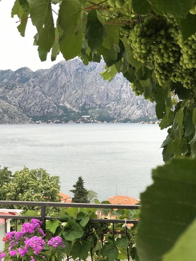 Vasko & Jana Apartment Kotor Bagian luar foto